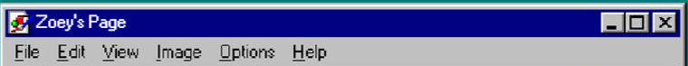 Retro windows title bar saying 'Zoey's Page'